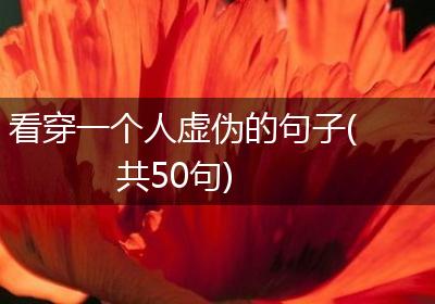 看穿一个人虚伪的句子(共50句)