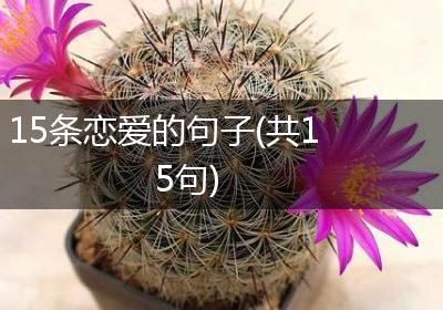 15条恋爱的句子(共15句)