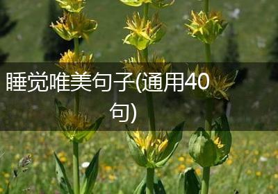 睡觉唯美句子(通用40句)