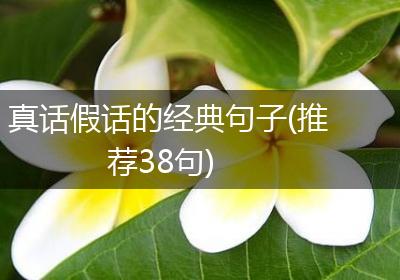 真话假话的经典句子(推荐38句)