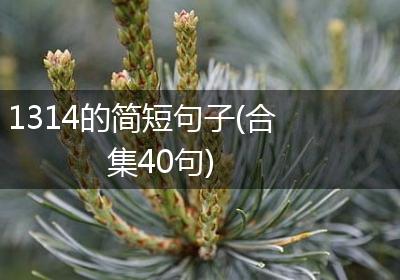 1314的简短句子(合集40句)