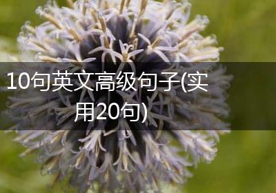 10句英文高级句子(实用20句)