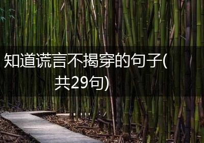 知道谎言不揭穿的句子(共29句)