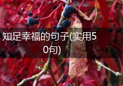 知足幸福的句子(实用50句)