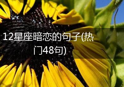 12星座暗恋的句子(热门48句)