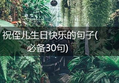 祝侄儿生日快乐的句子(必备30句)
