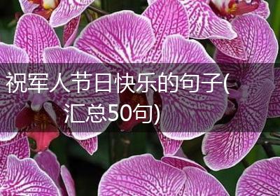 祝军人节日快乐的句子(汇总50句)