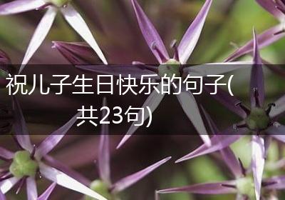 祝儿子生日快乐的句子(共23句)