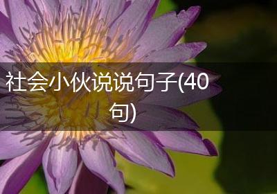 社会小伙说说句子(40句)