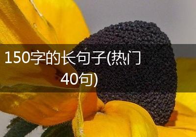 150字的长句子(热门40句)