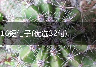 16短句子(优选32句)