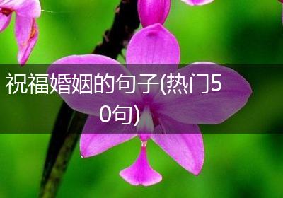 祝福婚姻的句子(热门50句)
