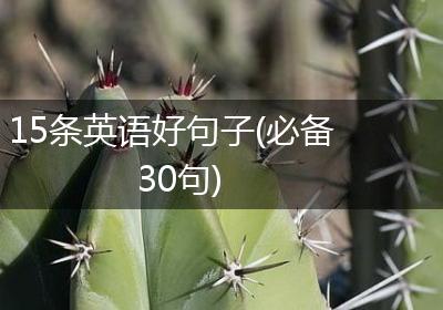 15条英语好句子(必备30句)