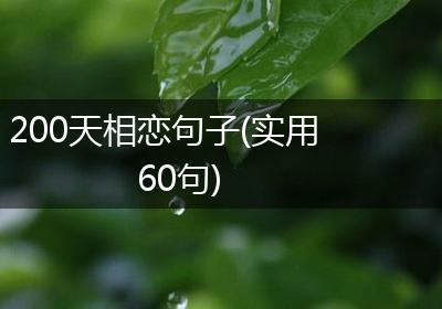 200天相恋句子(实用60句)
