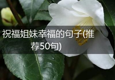 祝福姐妹幸福的句子(推荐50句)