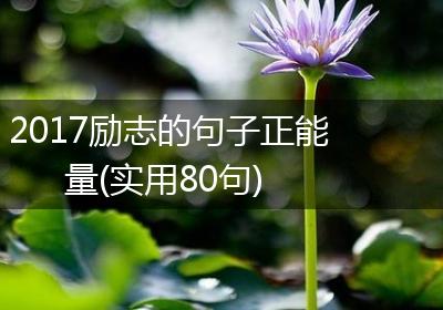 2017励志的句子正能量(实用80句)