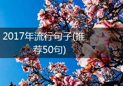 2017年流行句子(推荐50句)