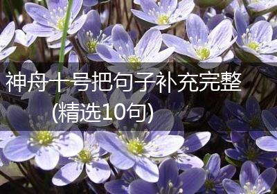 神舟十号把句子补充完整(精选10句)