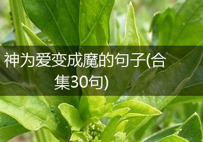神为爱变成魔的句子(合集30句)
