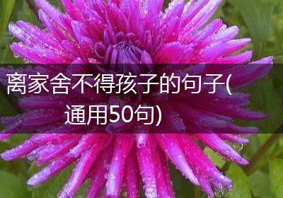 离家舍不得孩子的句子(通用50句)