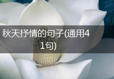 秋天抒情的句子(通用41句)