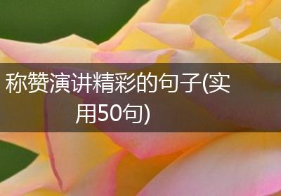 称赞演讲精彩的句子(实用50句)