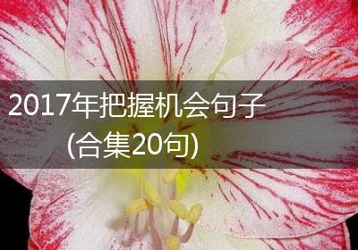 2017年把握机会句子(合集20句)