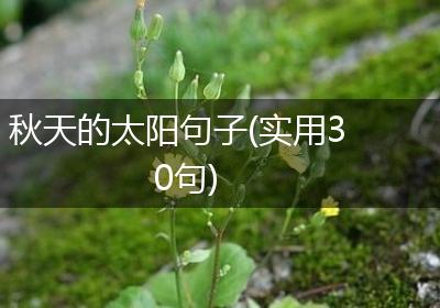 秋天的太阳句子(实用30句)
