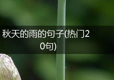 秋天的雨的句子(热门20句)