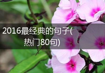 2016最经典的句子(热门80句)