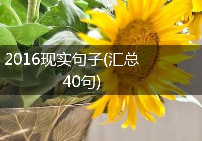 2016现实句子(汇总40句)