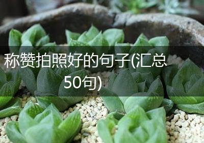 称赞拍照好的句子(汇总50句)