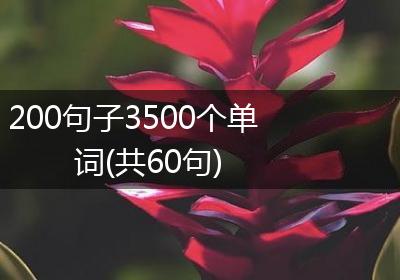 200句子3500个单词(共60句)