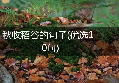 秋收稻谷的句子(优选10句)