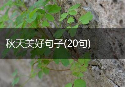 秋天美好句子(20句)