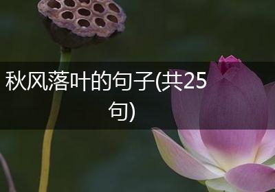 秋风落叶的句子(共25句)