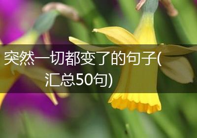 突然一切都变了的句子(汇总50句)