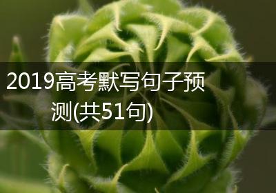 2019高考默写句子预测(共51句)