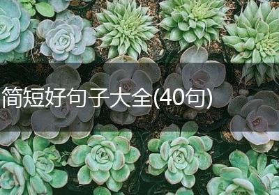 简短好句子大全(40句)