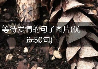 等待爱情的句子图片(优选50句)