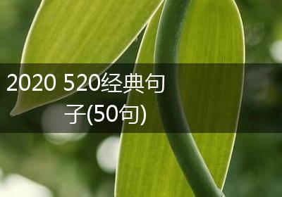 2020 520经典句子(50句)