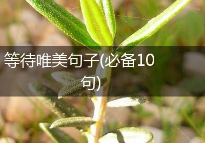 等待唯美句子(必备10句)