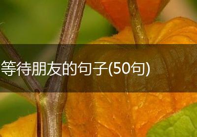 等待朋友的句子(50句)