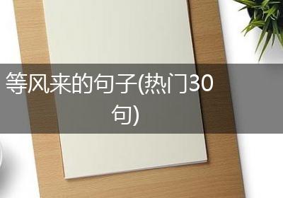 等风来的句子(热门30句)