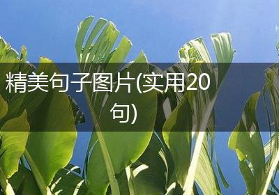 精美句子图片(实用20句)
