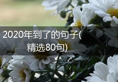 2020年到了的句子(精选80句)