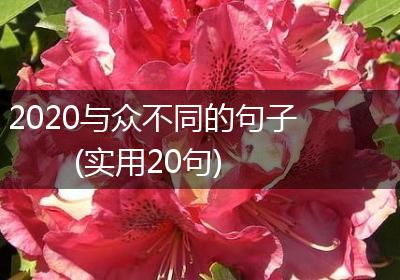 2020与众不同的句子(实用20句)