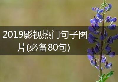 2019影视热门句子图片(必备80句)