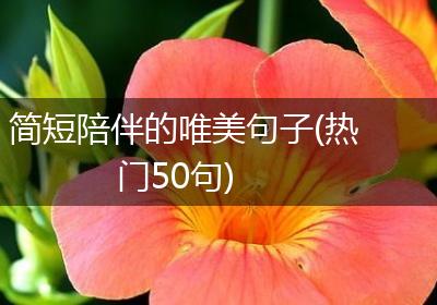 简短陪伴的唯美句子(热门50句)