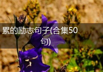 累的励志句子(合集50句)